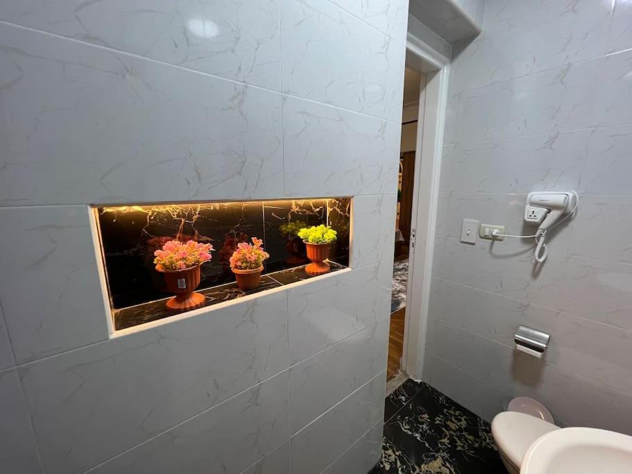 Luxury Apartment Downtown カイロ エクステリア 写真